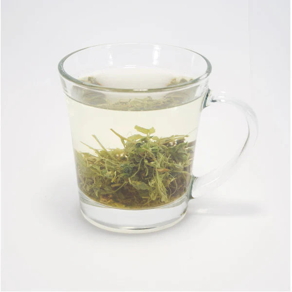 Jiaogulan Herbal  Tea - Herb